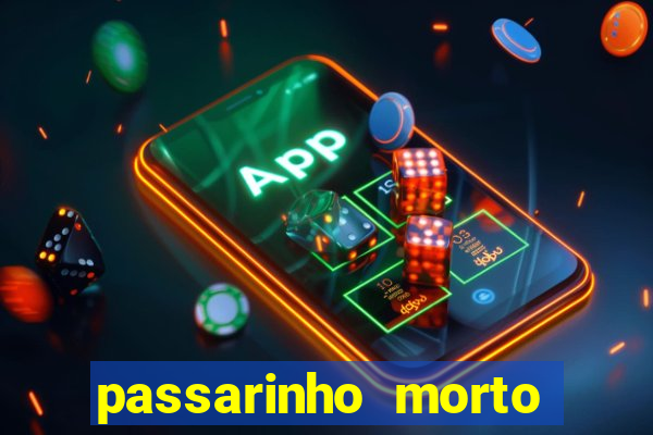 passarinho morto significado espiritual